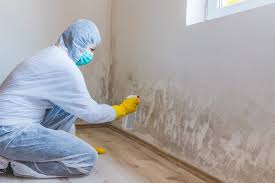 Best Attic Mold Removal  in Dublin, TX